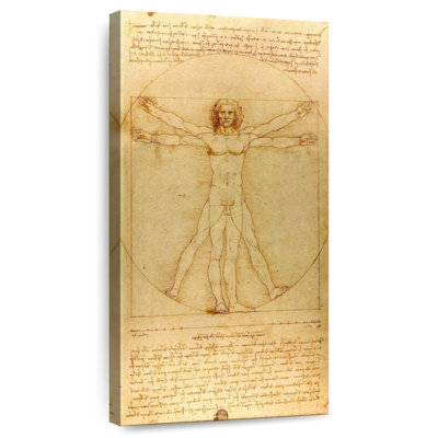 The Vitruvian Man
