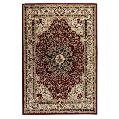 Ghorian Oriental Area Rug