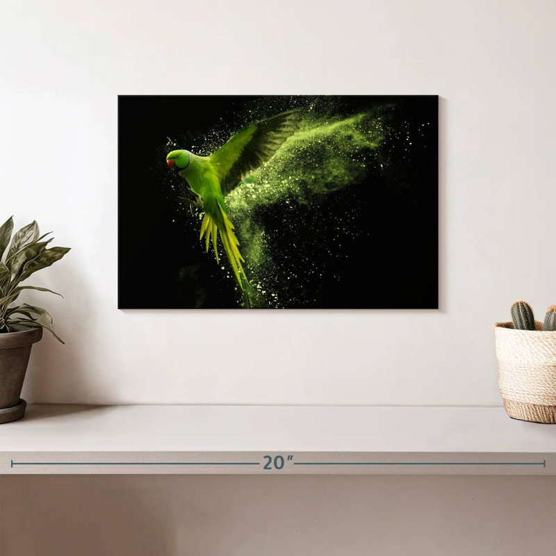 Brampt Alexandrine Parakeet, 8" H x 12" W