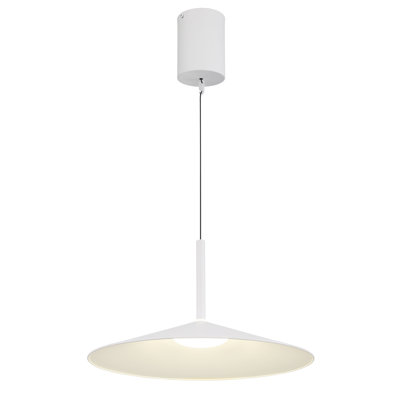 Neilsen 1 - Light LED Pendant
