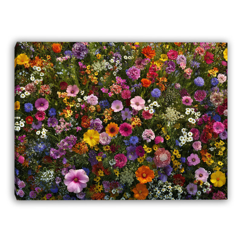 Art mural sur toile Endless Blooming Meadow, H 12 po x l 16 po x P 1 po