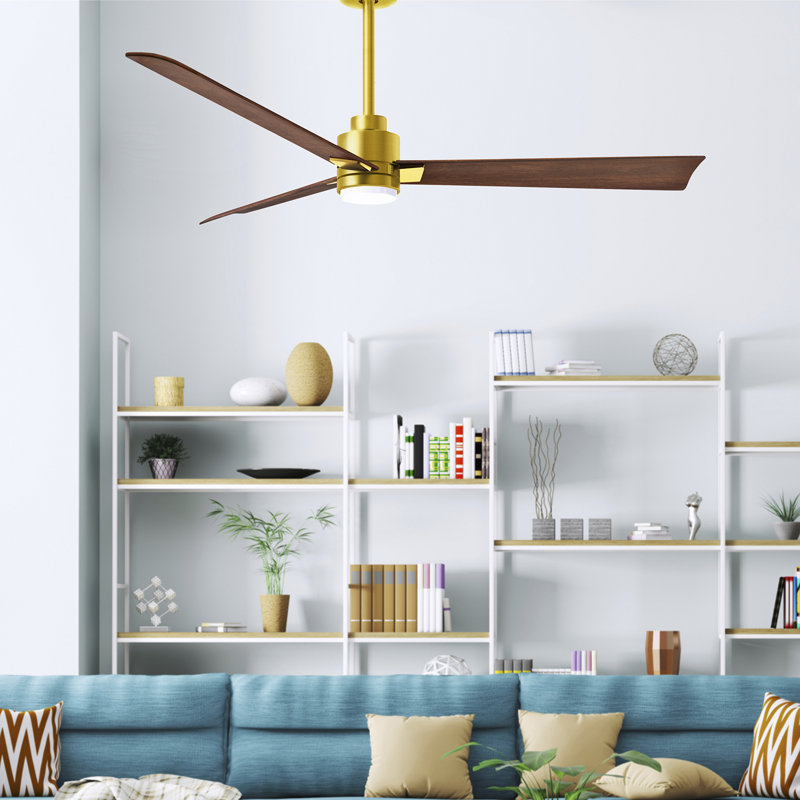 Alessandra - Three Blade Transitional Ceiling Fan -LED, Walnut, Brushed Brass, 56"
