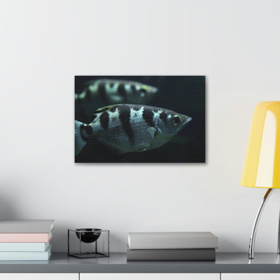 Archer, art animalier sous la mer