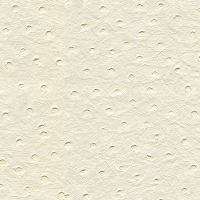 Design Fabric, White