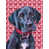 Great Dane (Black)