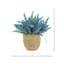 Heather dans un pot de paille-1477215126