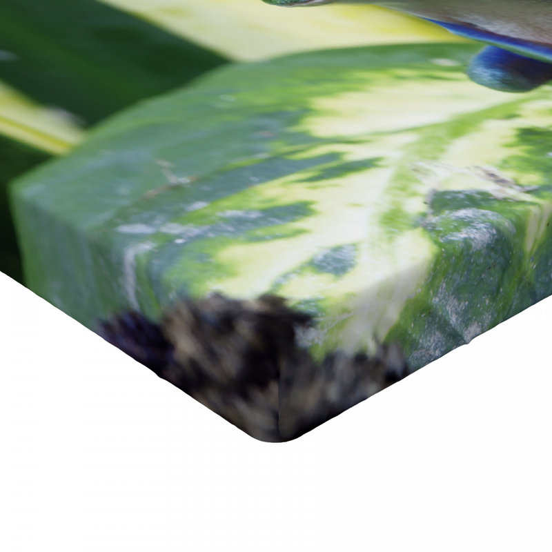 Microfiber Fitted Sheet, Twin XL Fitted Sheet