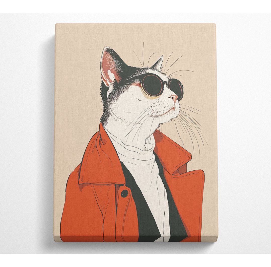 Sonnenbrille Mantel Katze Canvas Kunstdruck