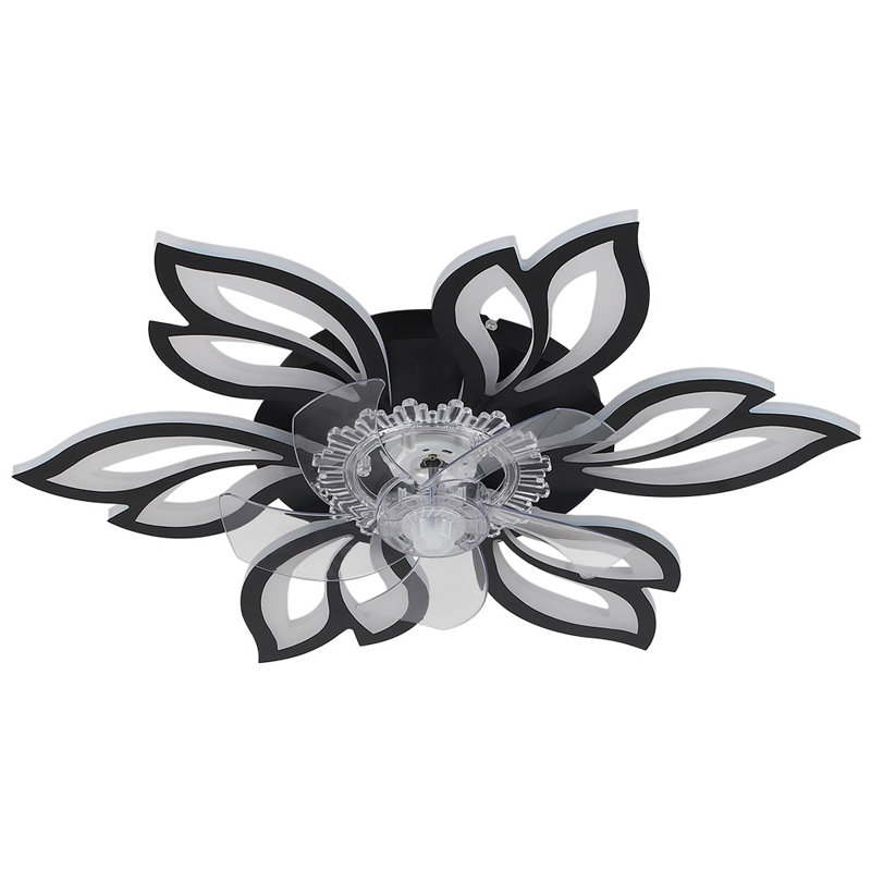 Armentha 65cm Ceiling Fan with LED Lights, Black