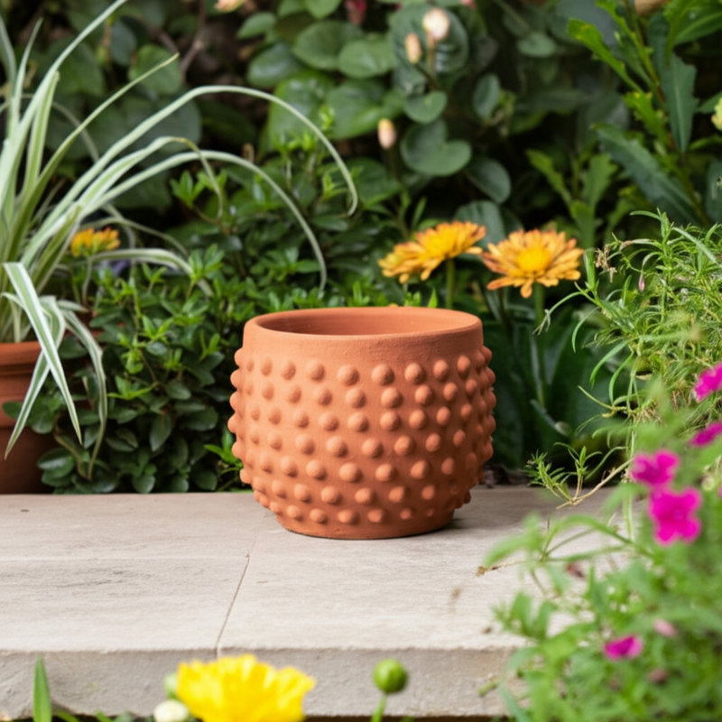 Hooge Textured Pottery Terracotta Planter With Raised Dot Design And Rounded Body - Decorative Handcrafted Clay Planter For Indoor Outdoor Display - Artisan Style Pot For Home Garden Decor