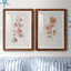 «Blush Sweetly I», ensemble de 2 reproductions d'art-282728414-391086766