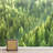 Aerial View Pine Tree Forest-88769877