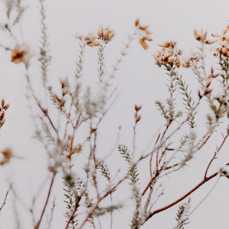 In The Details I Print by Annie Spratt, 24" H x 36" W x 2.5" D