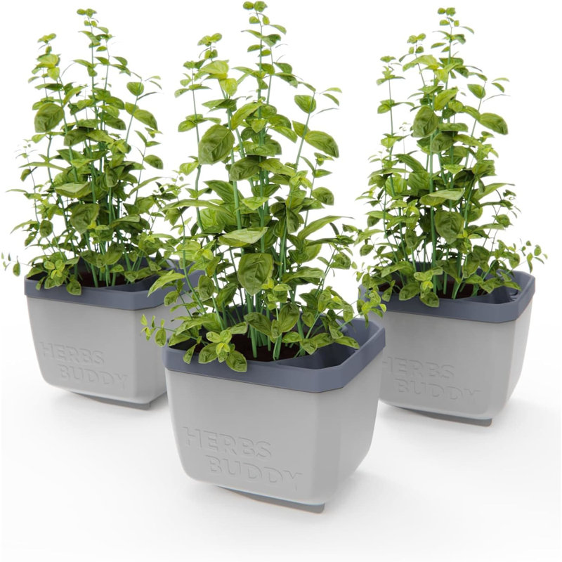 Herbs Buddy Self-Watering Planter Pot for Herbs, Special Water Level Indicator, 3, Grey