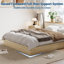 Base de lit plateforme minimaliste en bois - sur pied, lattes robustes, peu encombrantes, sans tête de lit, facile à assembler, sans sommier - bois brun clair doré, simple TG-651848509-651848523