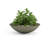 Oceanside Shallow Concrete Planter-714593619-714593640