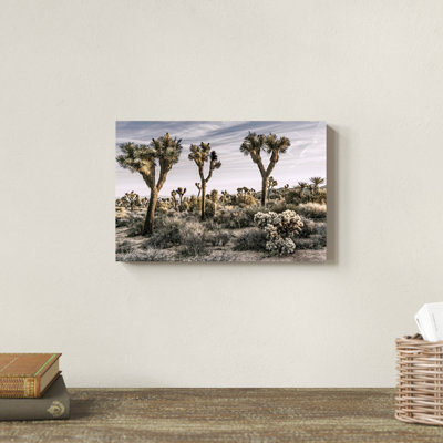 "Views of Joshua Tree IX" par Rachel Perry, reproduction de photo sur toile