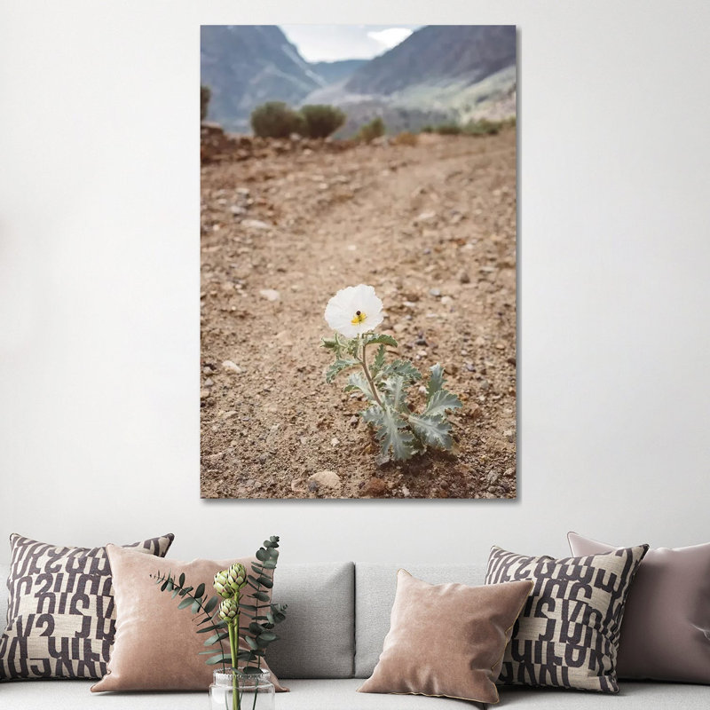 Yosemite Bloom by Bethany Young - Print on Canvas, 152.4cm H x 101.6cm W x 3.81cm D, Wrapped Canvas