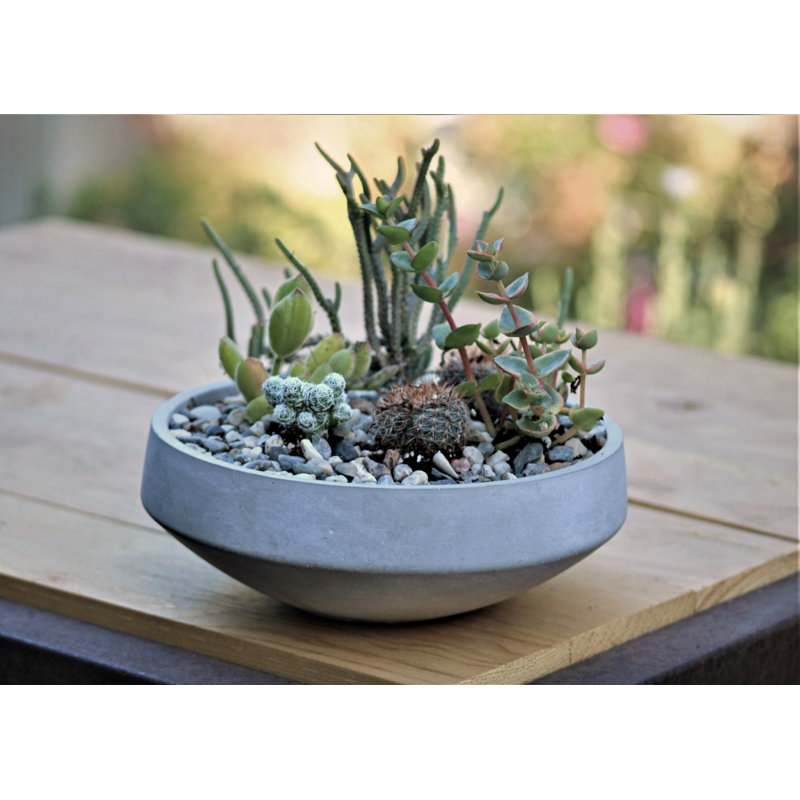 Pot de fleurs sphérique bas géométrique en béton (lot de 4) - Intérieur/Extérieur, 4