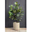 Demi Series Round Planter-86823201-83894855-83894853
