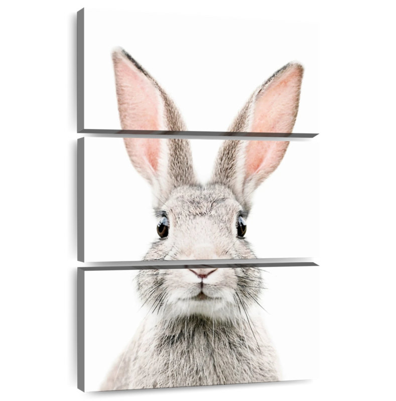 Brampt Bunny Face, 65" H x 42" W