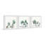 Urban Houseplants - ensemble de 3 cadres photo-1775941076