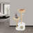 Cat Scratching Posts& Nest