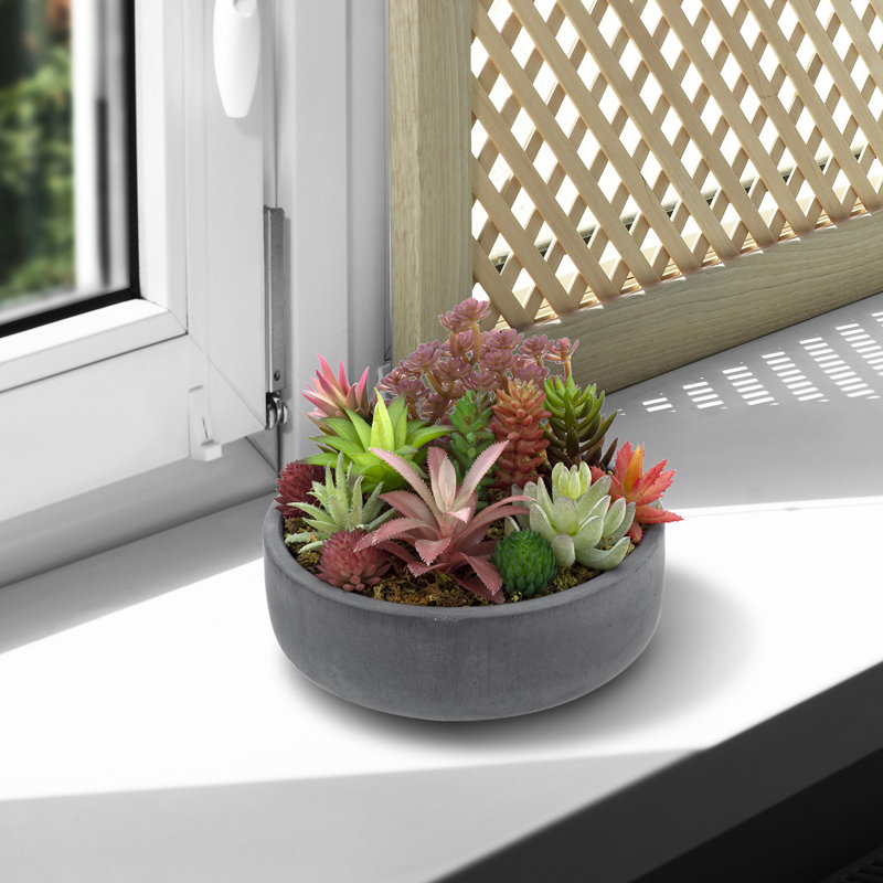 Pot Planter
