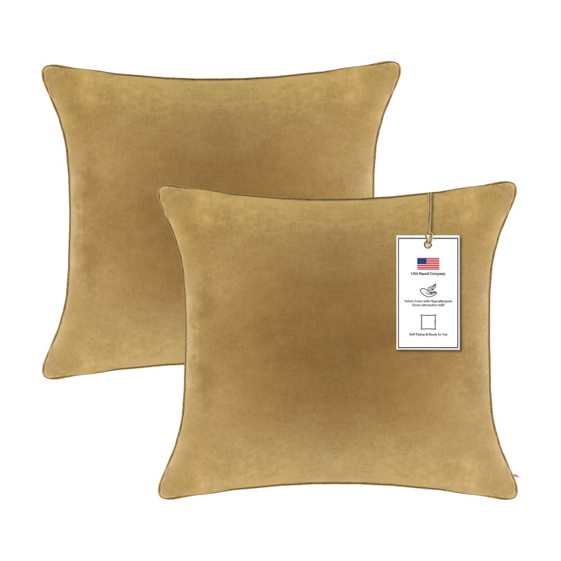 A1HC Velvet Down-Alternative Throw Pillow Inserts – Hypoallergenic, Ready-to-Use, Set of 2, Irish Coffee, 22"H x 22"W