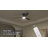 52'' Ceiling Fan with Light Kit