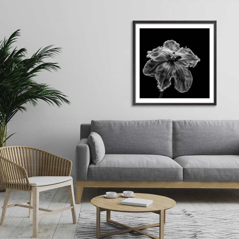 Nature Inspired Parrot Tulip by  - Picture Frame Photograph on Paper, 16" H x 16" W