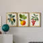 "Antique Foliage & Fruit VI", ensemble de 3 impressions sur toile encadrées-2090051246-2090051244