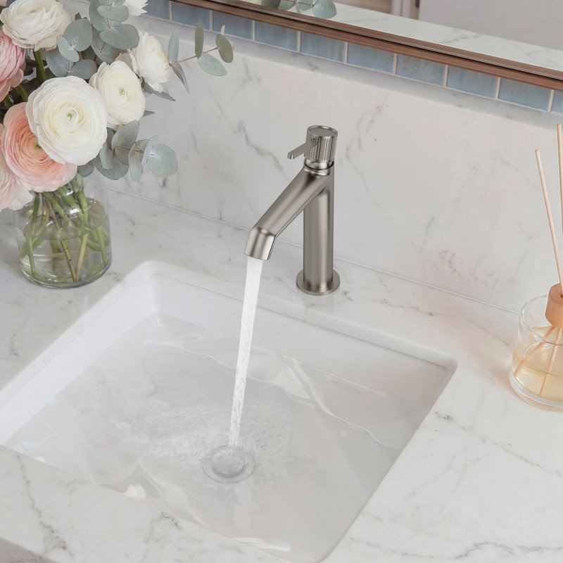 Single-Hole Single-Handle Bathroom Sink Faucet with Drain Assembly, Brushed Nickel