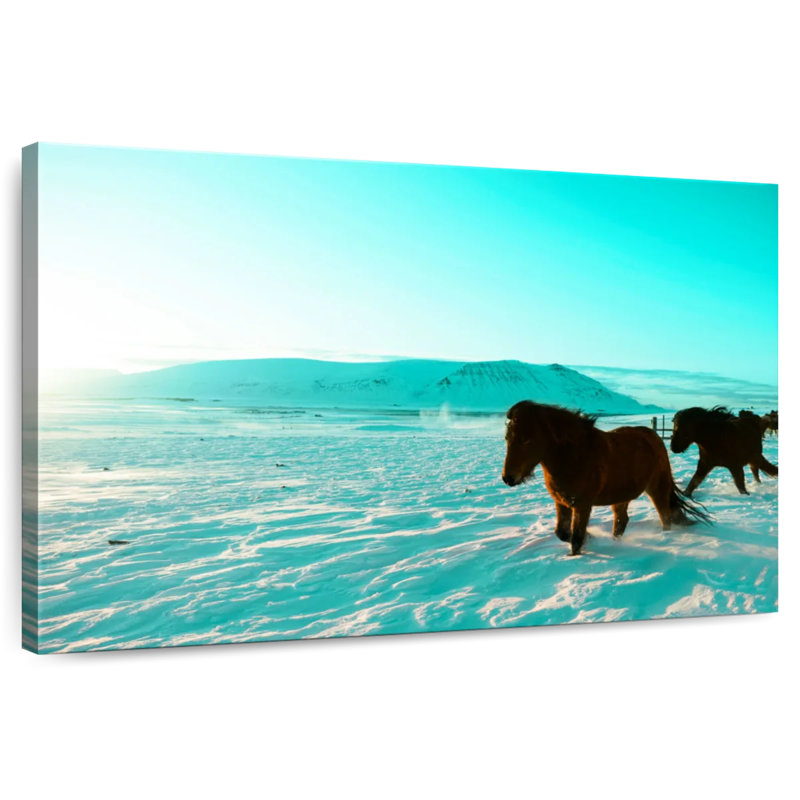 Brampt Icelandic Horses, 34" H x 51" W