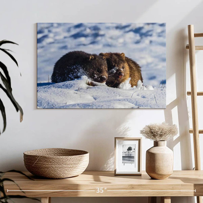 Winter Wombats, H 16 po x l 24 po