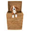 Hand Woven Laundry Hamper-2142077968