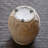 Maruska Pot Planter-1561534833