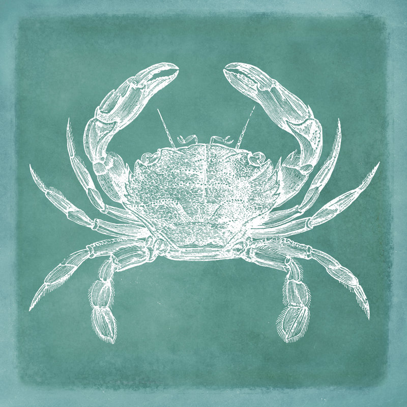 «Vintage Sea Life II» par Christine Zalewski, reproduction d'art sur toile, H 12 po x l 12 po