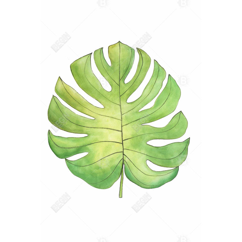 " Tropical Leaf "