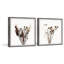Wildflowers Bundle by Marmont Hill - 2 Piece Single Picture Frame Painting Set-72534762