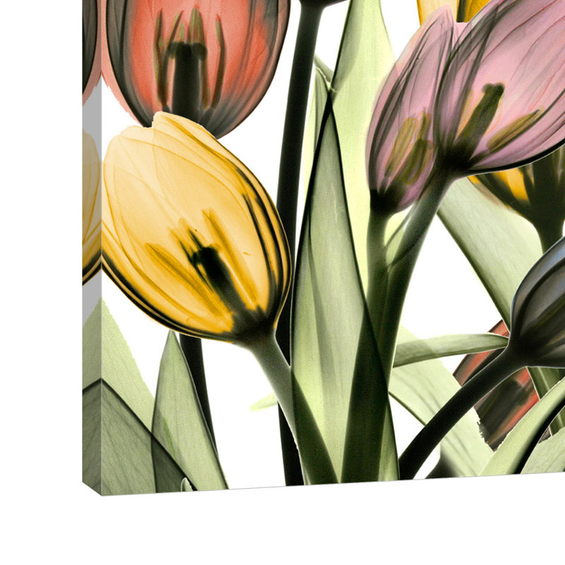 Tulipscape 2 - Impression d'art graphique, H 12 po x l 12 po
