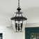 Alexavier 3 - Light Outdoor Hanging Lantern