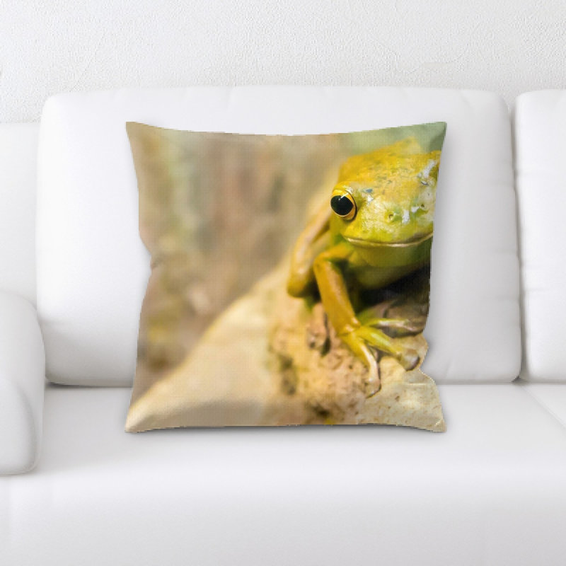 Coussin de grenouille