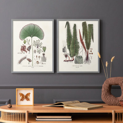 Botanical Society Ferns III - reproduction encadrée de qualité supérieure - prête à être accrochée - aucun clou requis - aucun clou requis