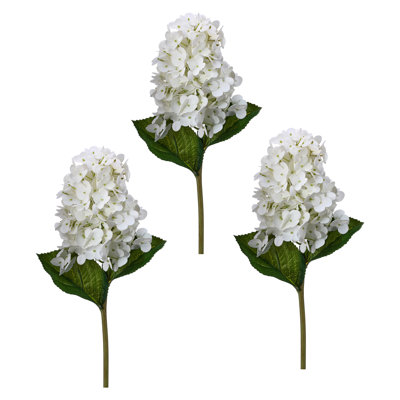 Cone Hydrangea Stems