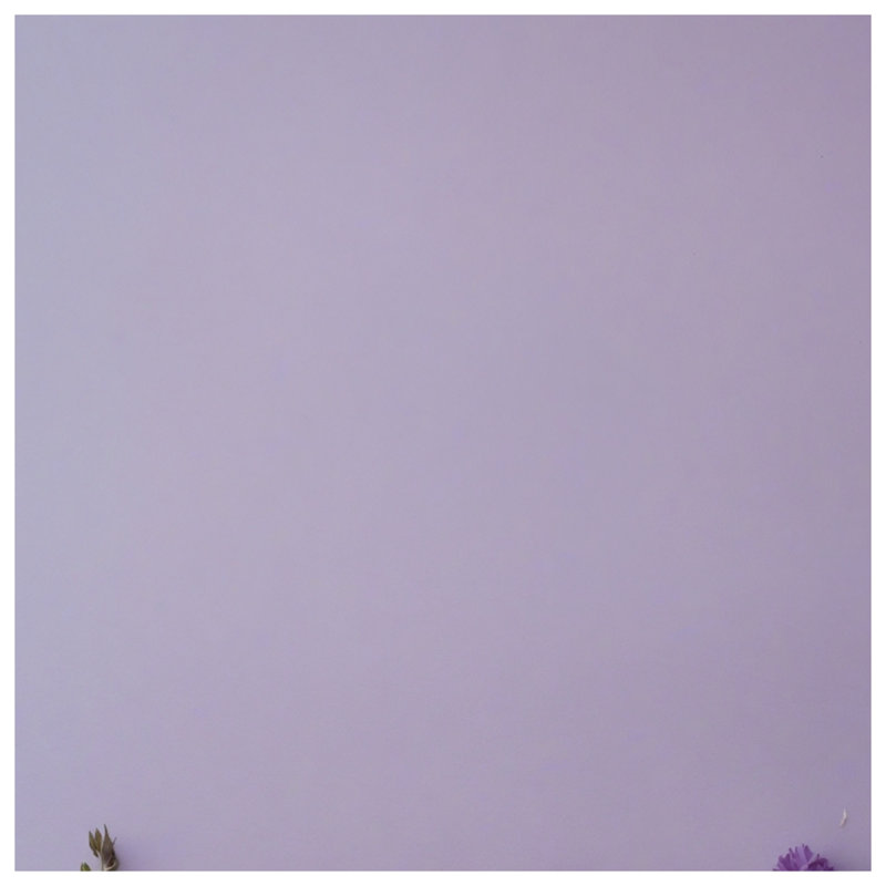 Fleurs sauvages mauves sur des couvertures lavande, 50in W x 60in H
