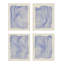 Netting Print by Jacques Pilon-861194488-861194485