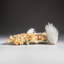 Scolecite on Stilbite from Nasik District, Maharashtra, India (164.4 Grams)