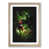 Oak Framed selected