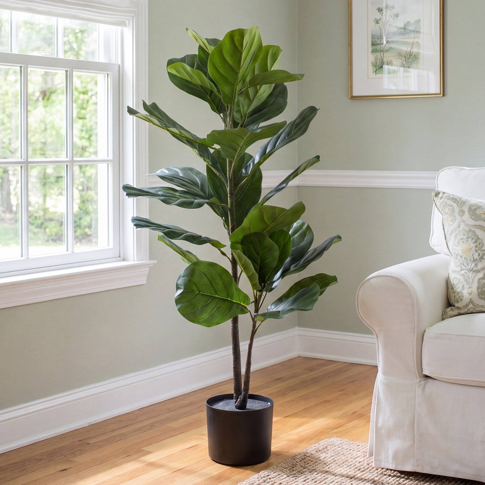 38'' Fiddle Leaf Fig Plant in Pot